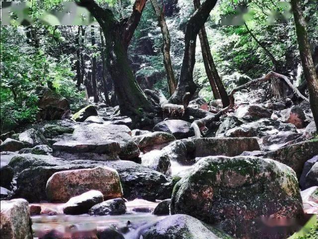 恐怖黎明